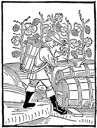 Grabado Antiguo con sobre producción de vino