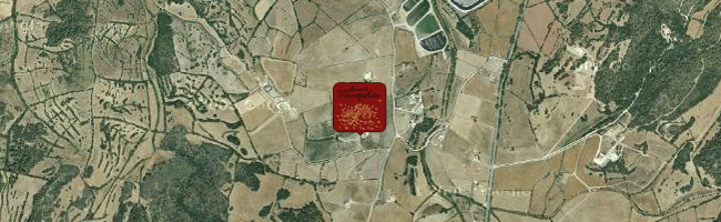 Bodegas Menorquinas en Google Maps